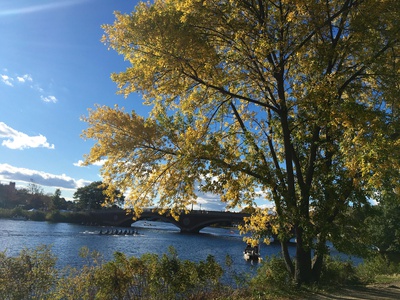 Cover image for Fall Foliage Step 1