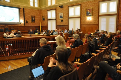 Cover image for The Council Meets