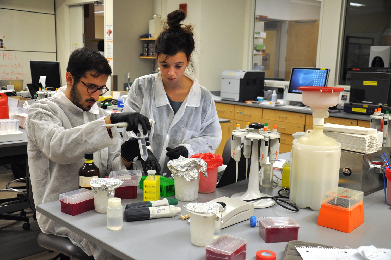 Mahan Nekoui ’17, left, and Gal Wachtel ’17, right, work on an experiment in a Molecular and Cellular Biology 60 lab on Tuesday, Nov. 3. Students designed their own experiments to examine protein interactions in damaged cells.