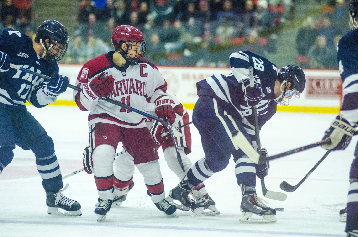 The Harvard and Yale men's hockey teams, shown in action last season, will square off for the first time this year at the Bright-Landry Hockey Center on Friday.
