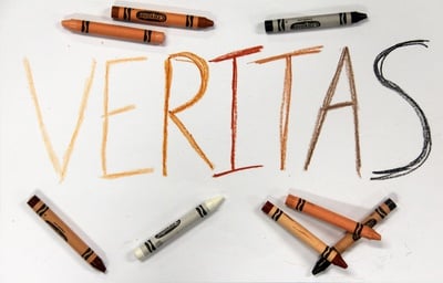 Cover image for The Diversity Issue