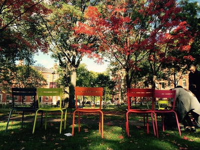 Cover image for Harvard Yard, Uncovered