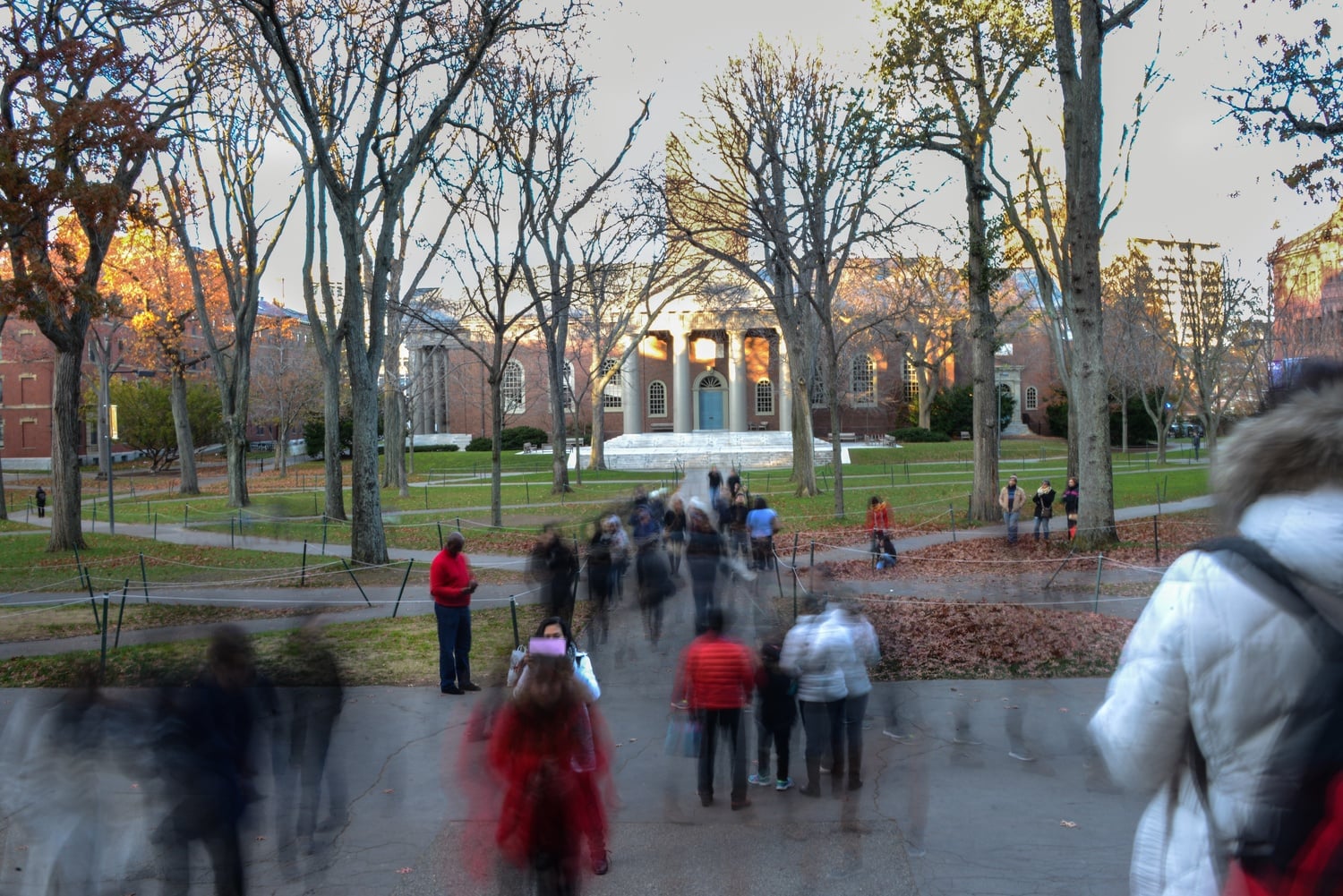 Tourists and students cause a stir of action in front of the steps of Widener.