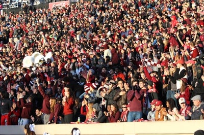 Cover image for All About Ticketing: The Game