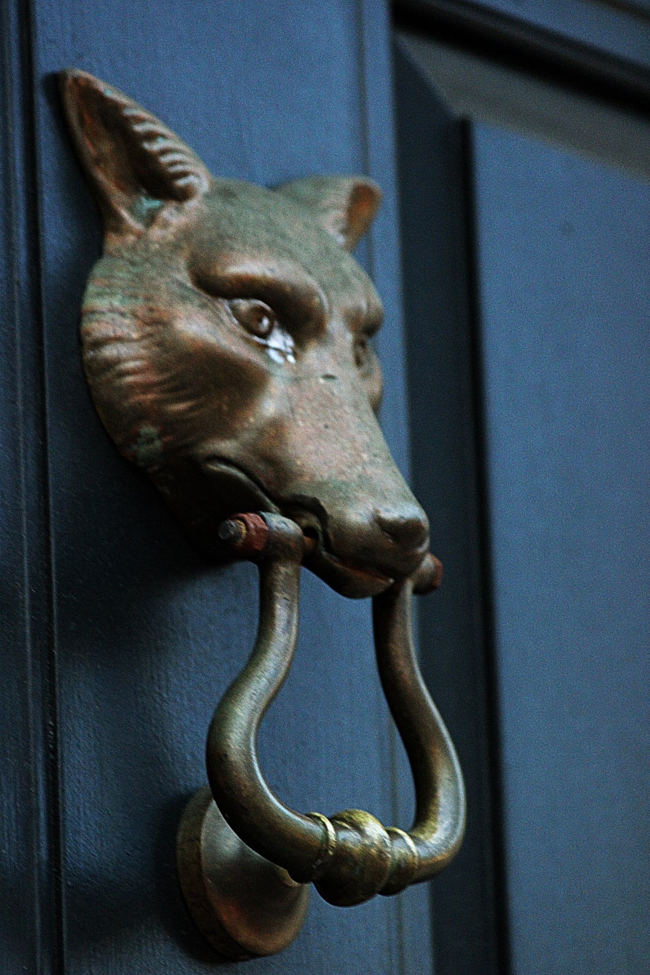 The Fox Club remains closed following the decision by its graduate board to shut down earlier this fall.
