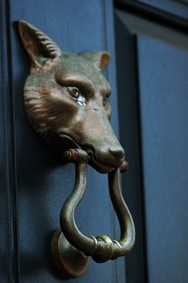 Cover image for Before Going Co-Ed, Fox Club Weighed ‘Logistical Concerns’
