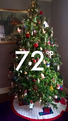 Cover image for Holiday Guide to Global Warming
