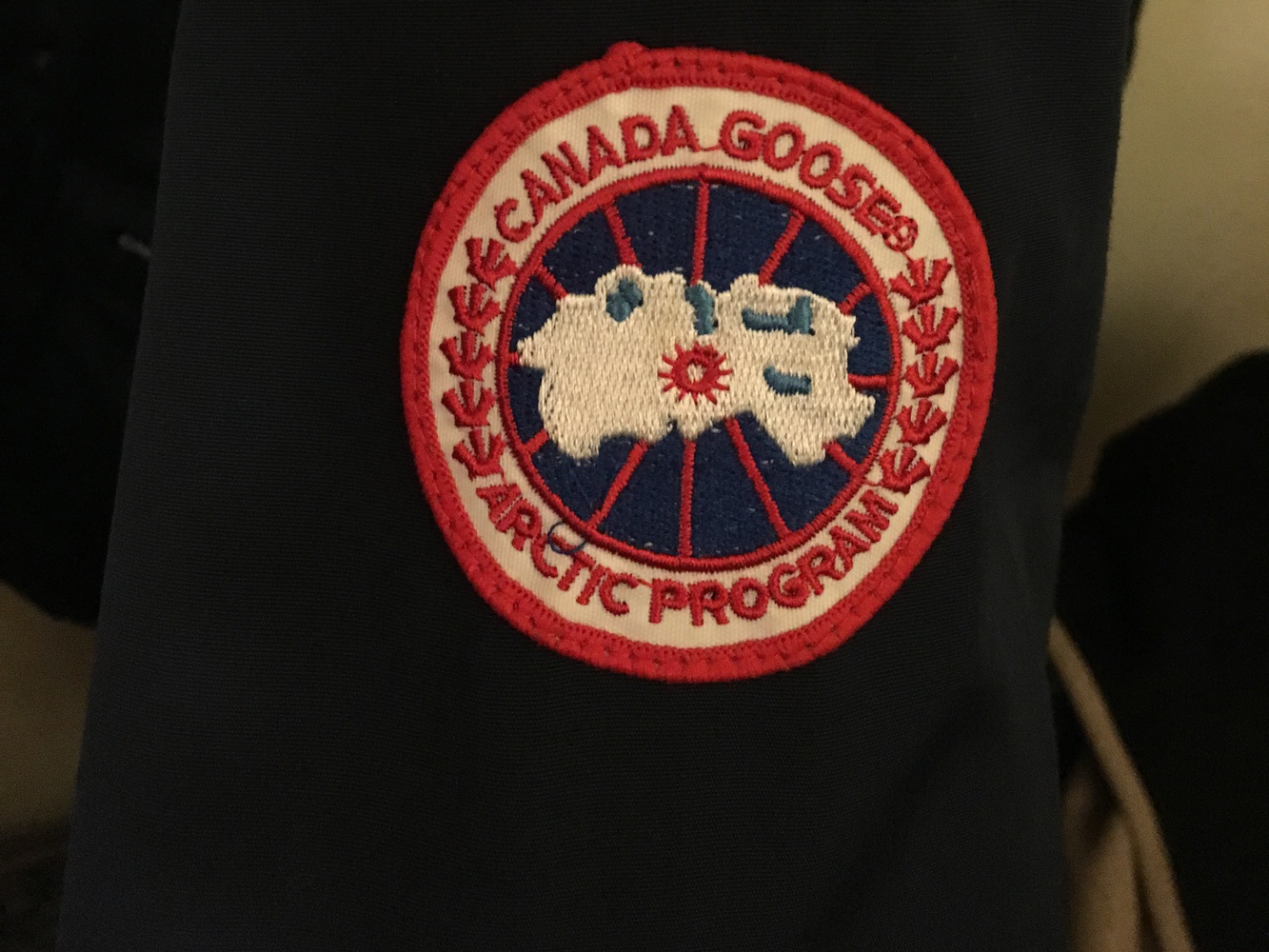 You may have spotted a classmate (or 200) sporting the Canada Goose logo on their sleeve. 