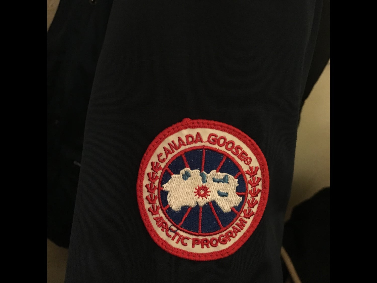 You may have spotted a classmate (or 200) sporting the Canada Goose logo on their sleeve. 