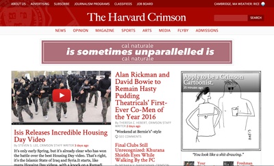 Cover image for But is a poor imitation flattery or an insult? 