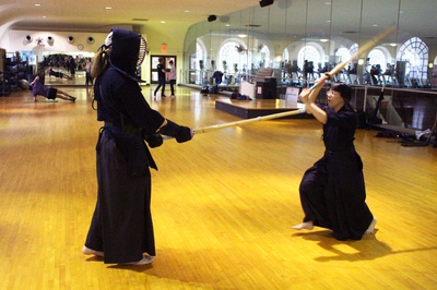 Cover image for The Sword and the Shogun 