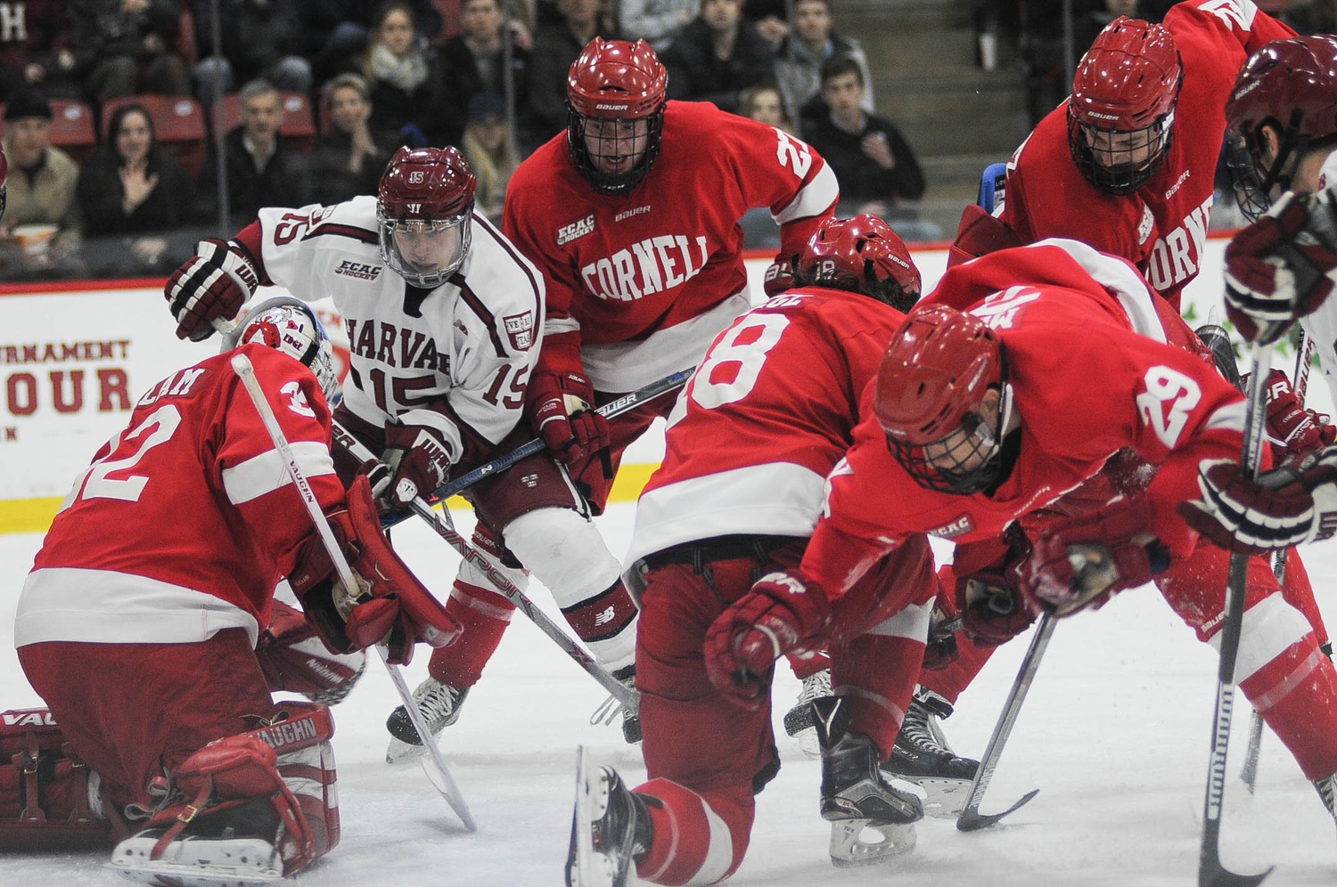The ECAC officiating crew contended with several close calls around the crease on Friday, including one involving sophomore Seb Lloyd (15) which led to Harvard's second goal.