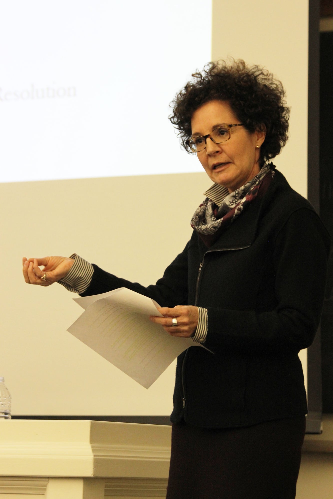 Title IX Officer Mia Karvonides explains Harvard University policy concerning unwelcome sexual contact at a town hall hosted by the UC Tuesday evening. Karvonides later answered questions from students and undergraduate council members.