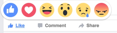 Cover image for Flyby's Reactions to "React"