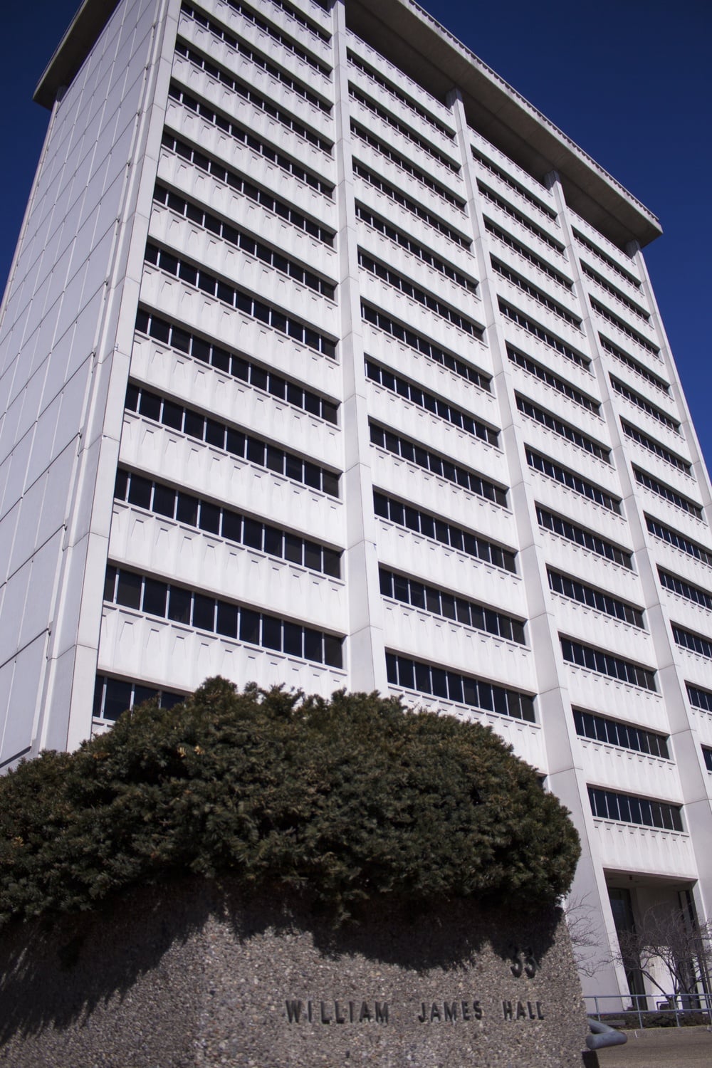 Social Studies is located in William James Hall.