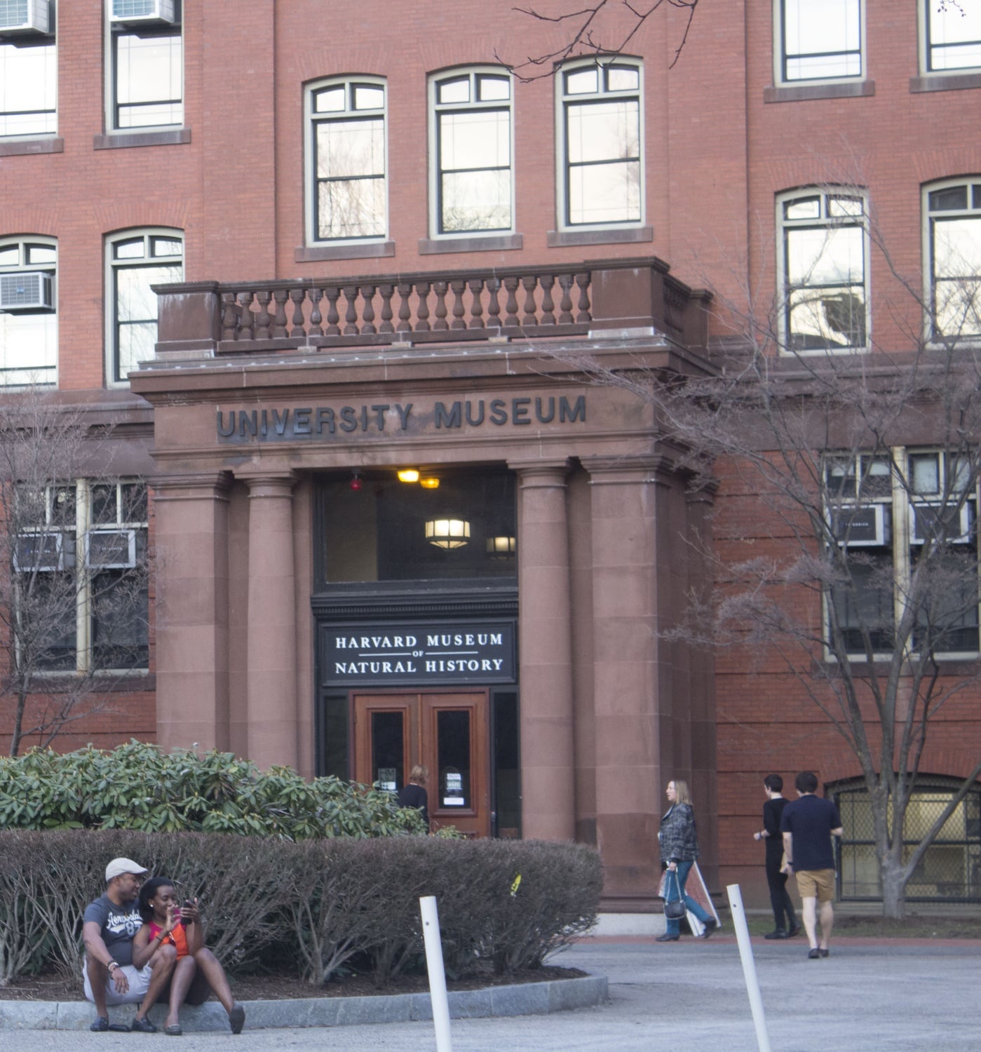 Harvard's Department of Organismic and Evolutionary Biology is located at 26 Oxford Street, which also houses the Harvard Museum of Natural History.