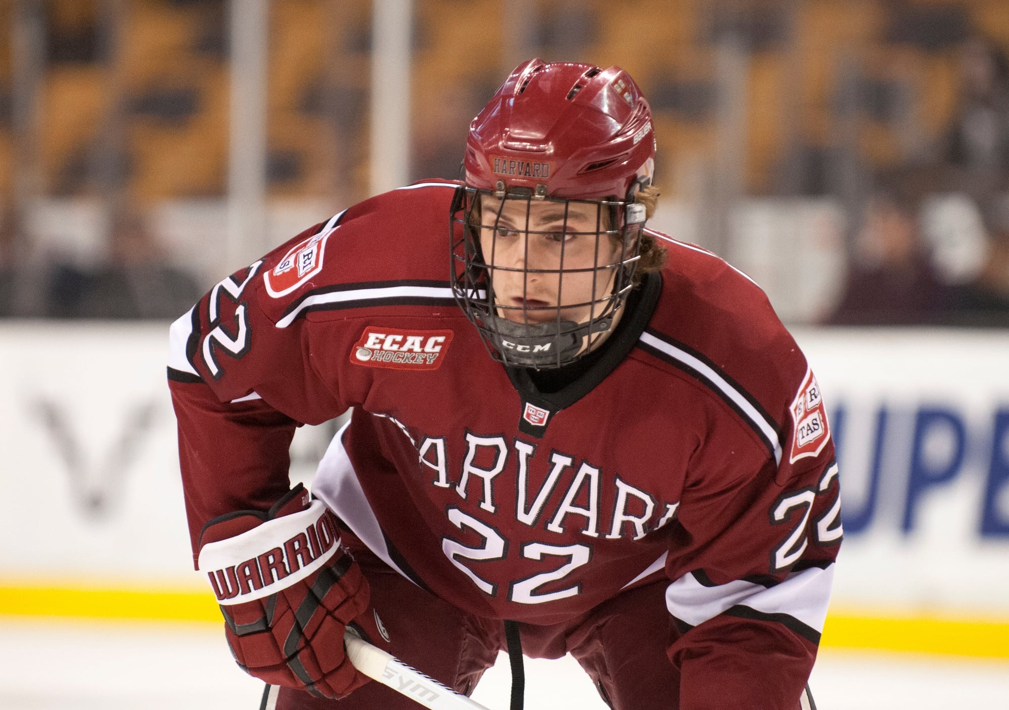 Massachusetts Connections Abound as Harvard, BC Meet in Worcester ...
