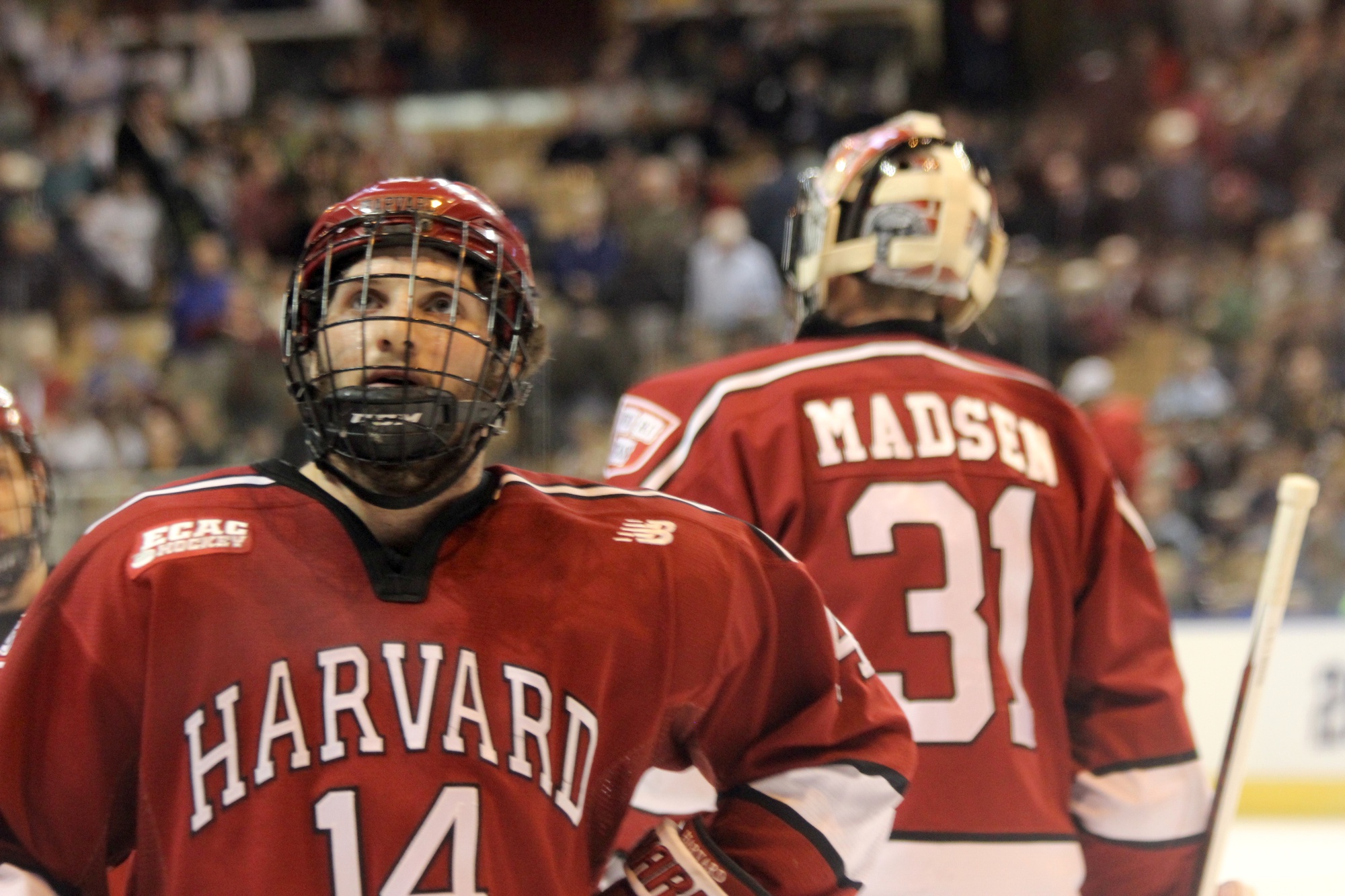 Alexander Kerfoot (14), Merrick Madsen (31), and the Crimson were knocked out of the NCAA tournament on Friday by Boston College.