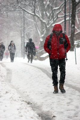 Cover image for Winter Coats that Won't Break the Bank