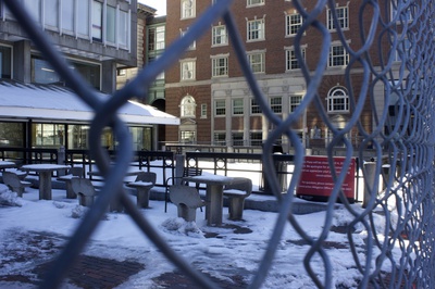 Cover image for Harvard Gives Smith Center Trees the Ax