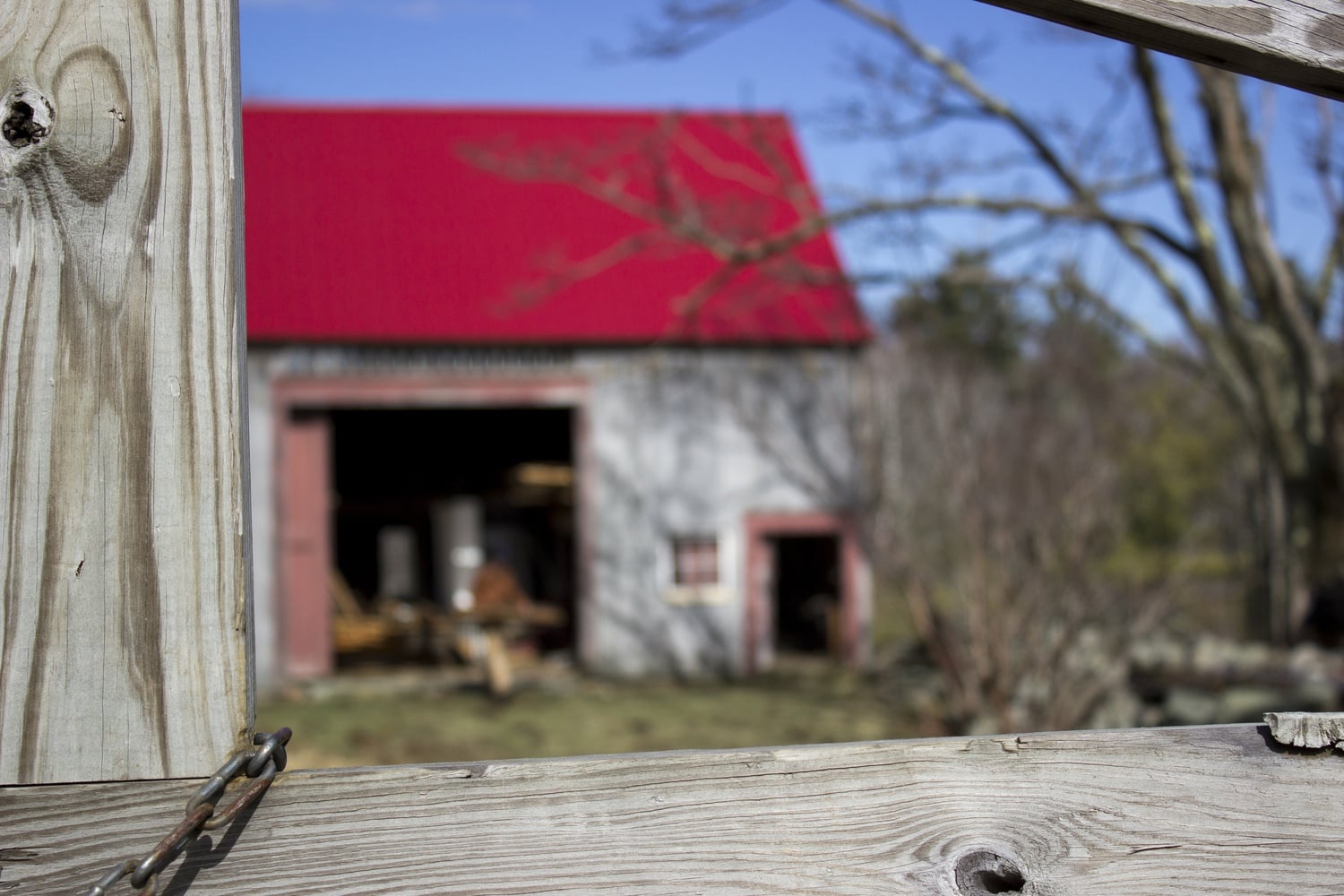 While the majority of the land owned by Harvard consists of forest, other portions of the expansive property include farmland.
