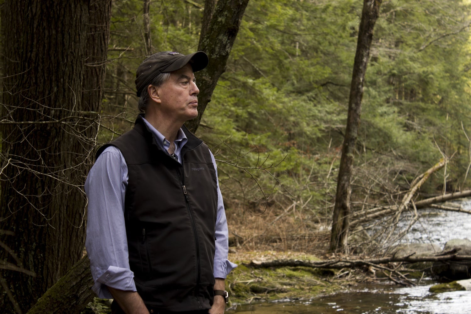 Director of the Harvard Forest David R. Foster surveys neighboring hemlock trees in one of the only areas of the forest which exists purely for observational purposes.
