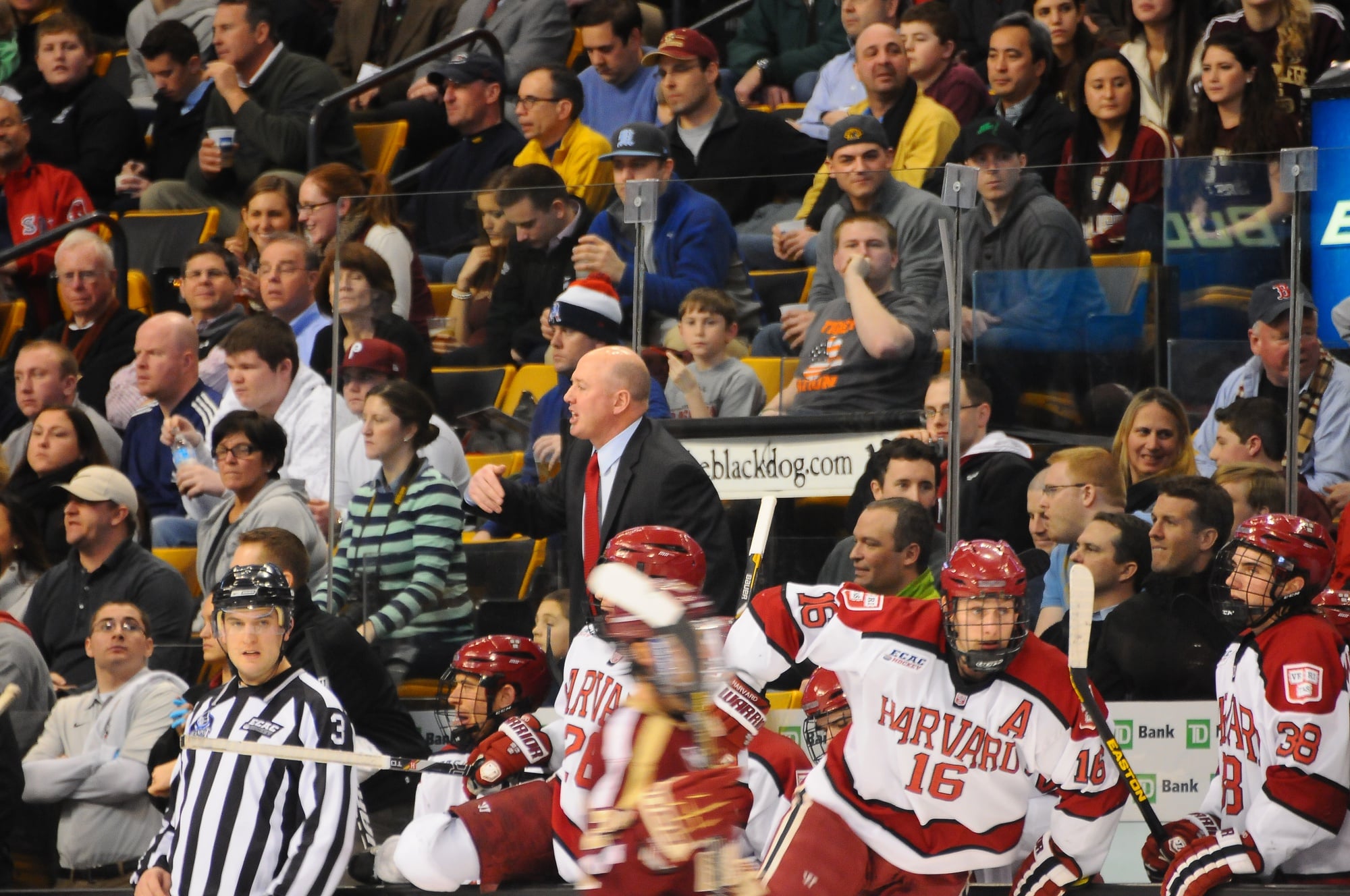 Ted Donato gets animated during a 2013 Beanpot semifinal loss to Boston College.