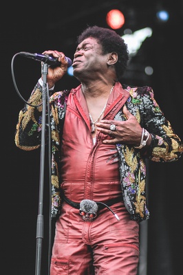 Cover image for Charles Bradley – Boston Calling Spring 2016