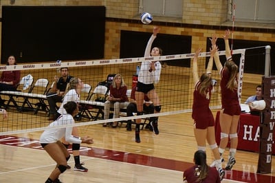 Cover image for Women's Volleyball Earns First Ivy League Victory Of Season