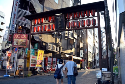 Cover image for Hongo Gate