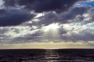 Cover image for Sunset