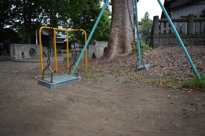 Cover image for Swings