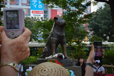 Cover image for Hachiko