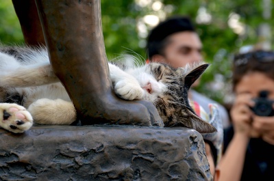Cover image for Neko