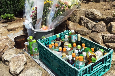Cover image for Memorial Bottles