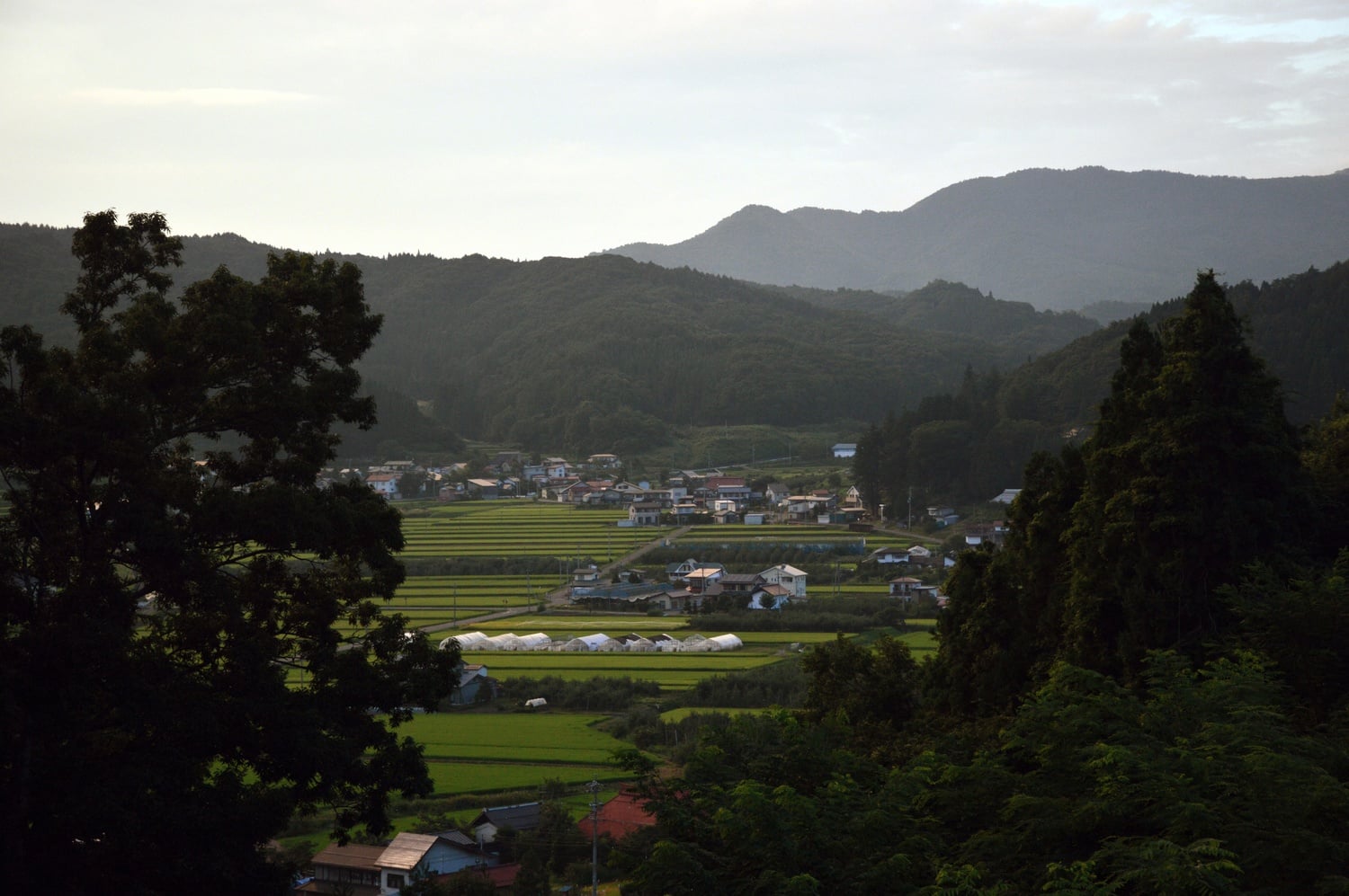 The view from the mountains near Obuse