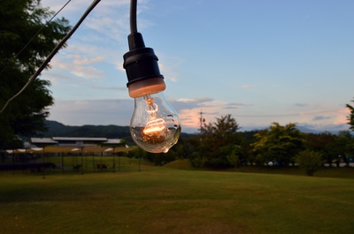 Cover image for Winery Light