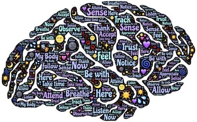 Cover image for Hey Professor: Mindfulness