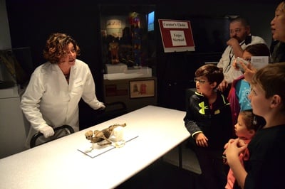 Cover image for Visitors Flock to Peabody Museum’s 150th Anniversary Party