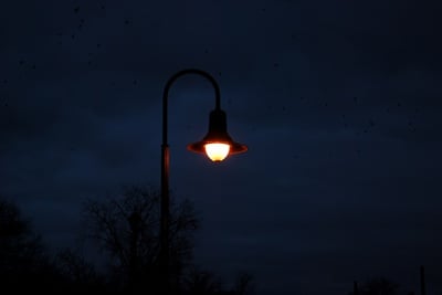 Cover image for Safe Haven
