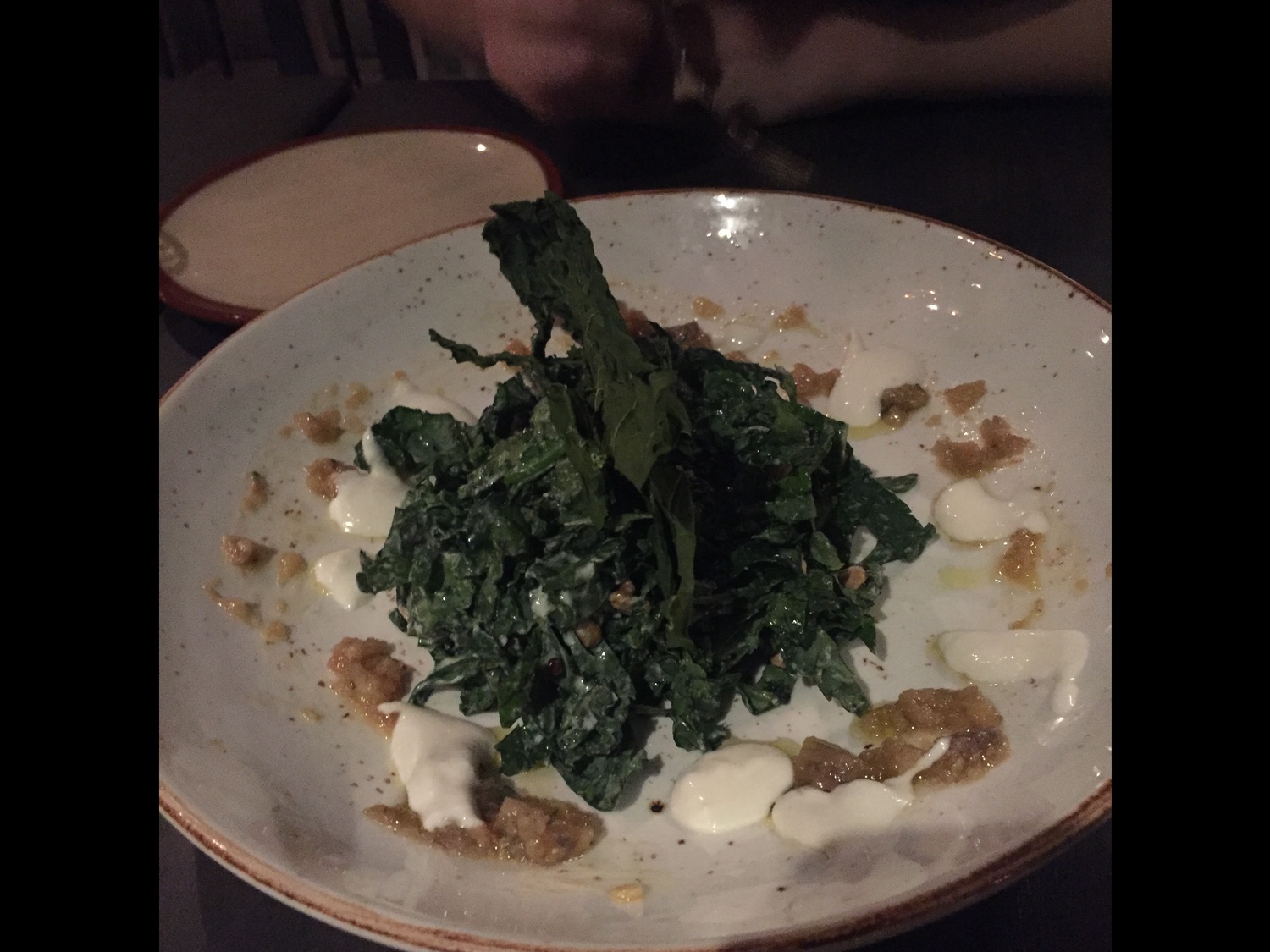 Flyby was not impressed with the Kale salad. Or the splattering of sauces. 