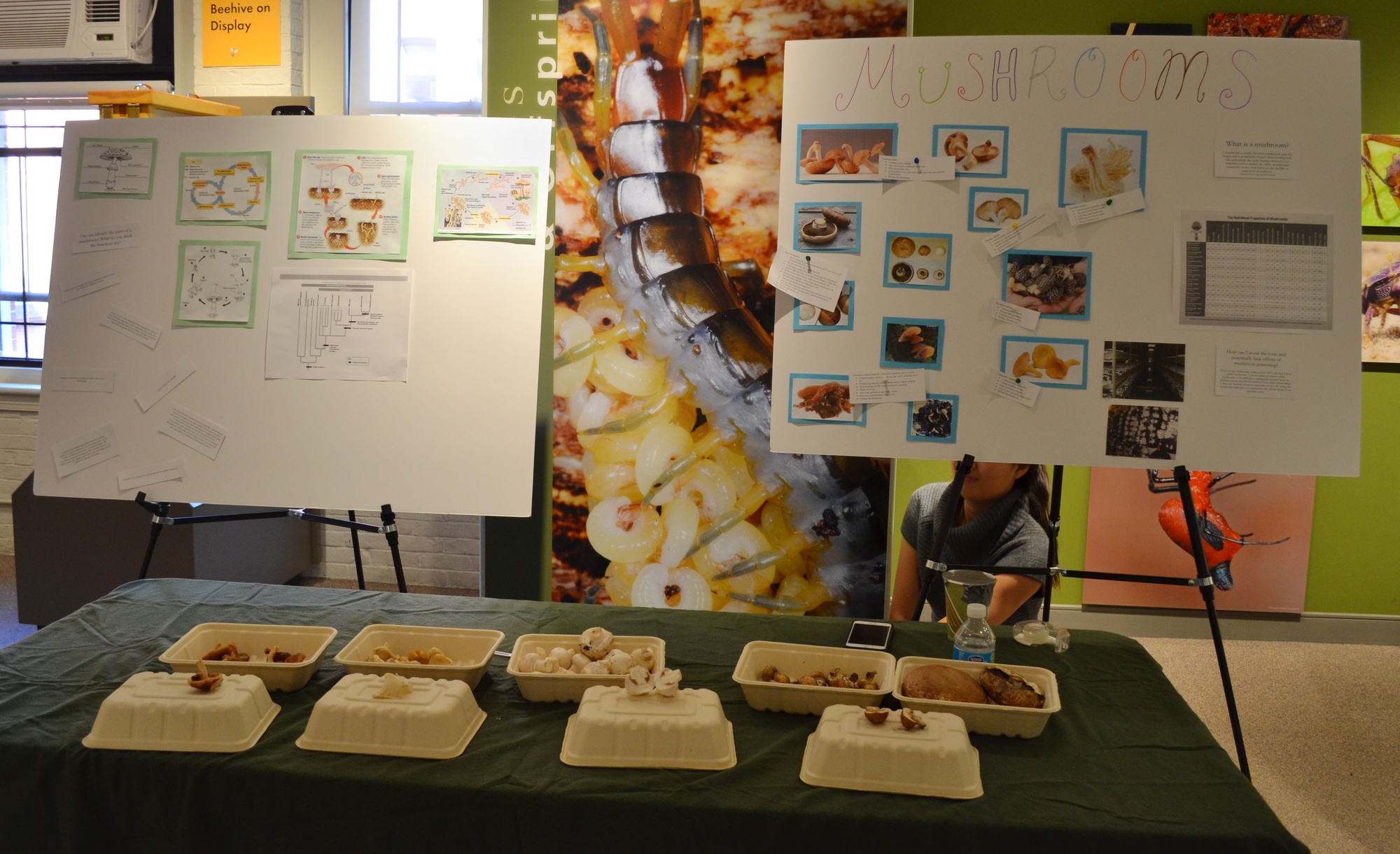 The Museum of Natural History hosted the third annual Fungus Fair on Saturday. 