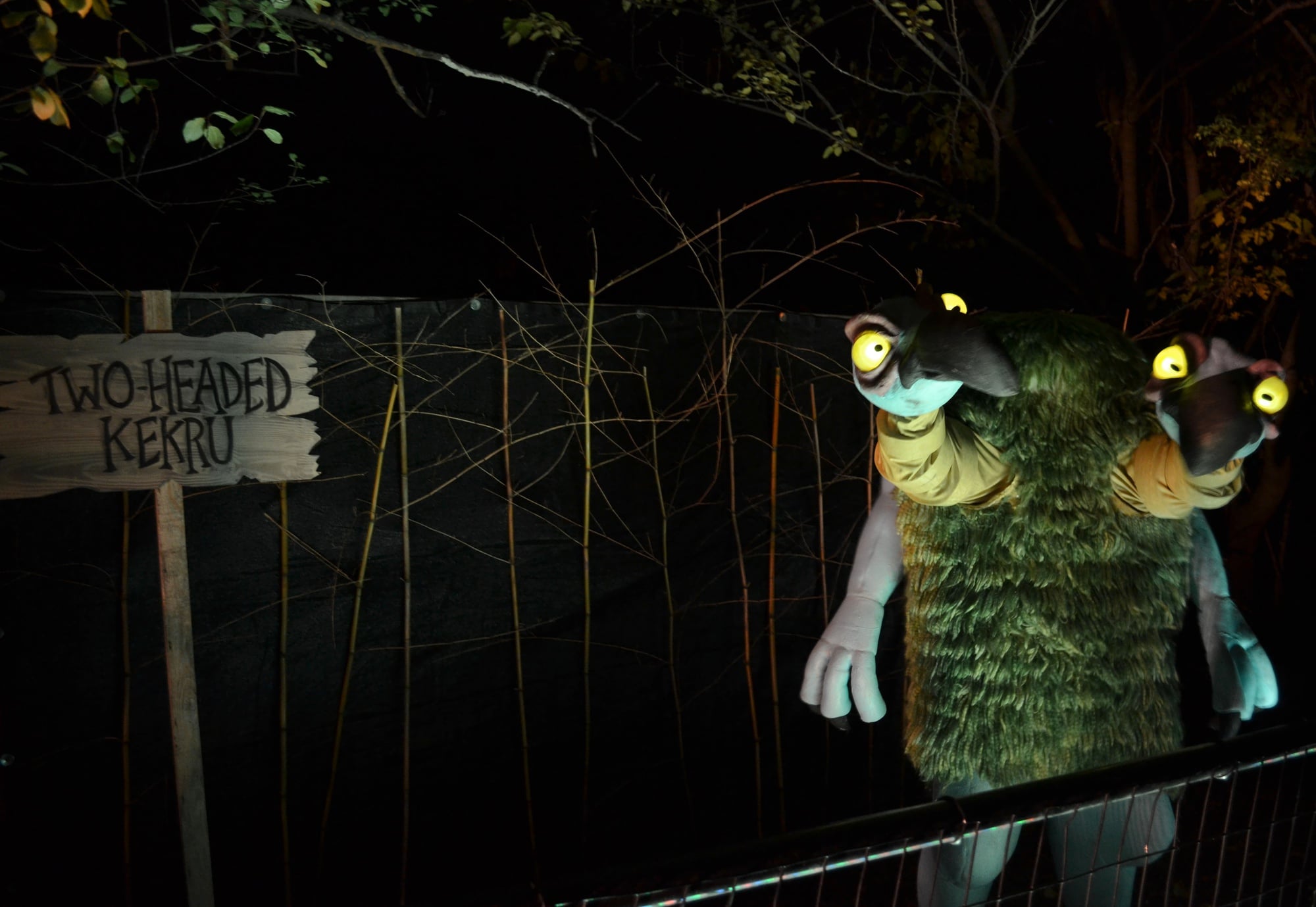 A Funny Little 'Zoo' | The Harvard Crimson