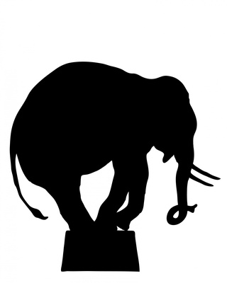 Cover image for A Night at the Circus