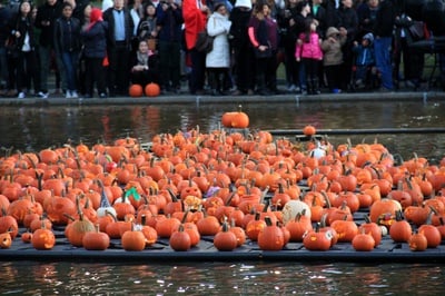 Cover image for How To Be Basic This Fall