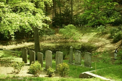 Cover image for Sick, in a Grieving Way