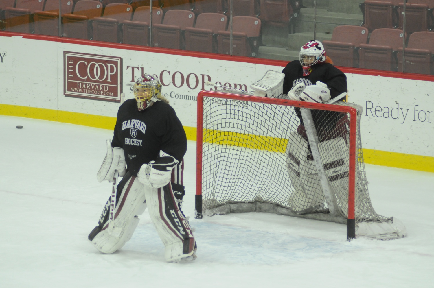 With Emerance Maschmeyer '16 no longer between the sticks for the Crimson, the team will rely on seniors Brianna Laing and Molly Tissenbaum.