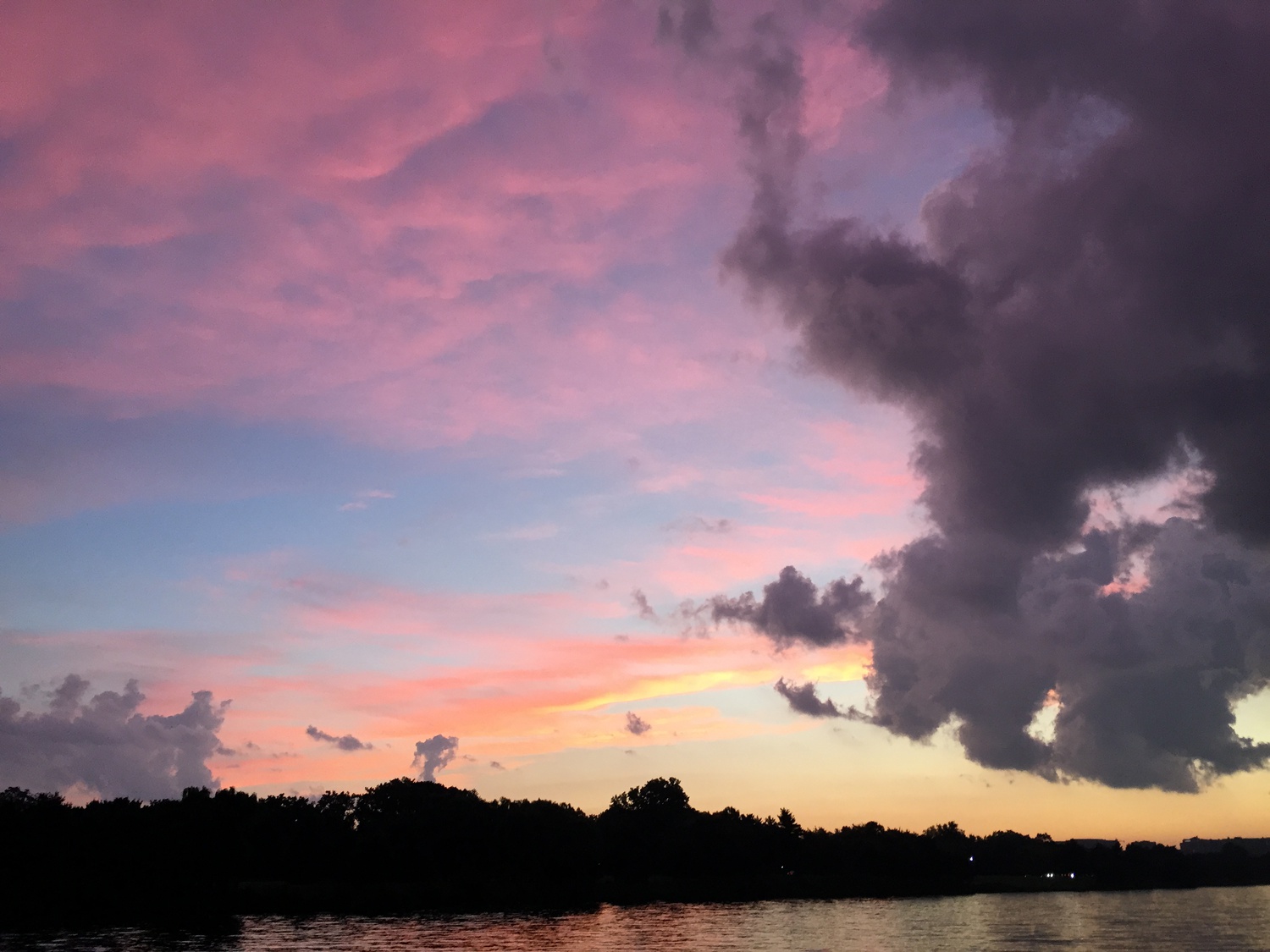 Bailar is an avid photographer, and he can’t walk anywhere without noticing beautiful things: the orange leaves on a tree he walks by every day, or a tumble of dark clouds over the Charles. 
