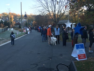 Cover image for Voters Line Up