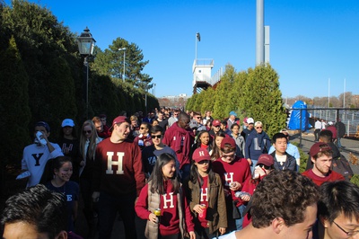 Cover image for Walking